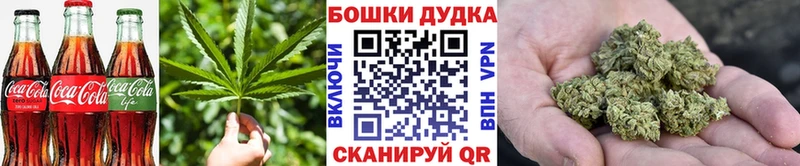 Купить где  Киржач  Canna-Cookies конопля 
