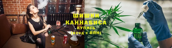индика Волосово