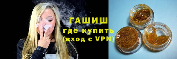 индика Волосово