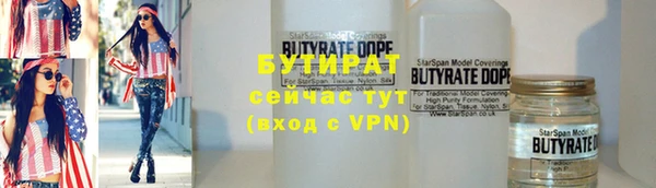 индика Волосово