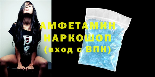 индика Волосово