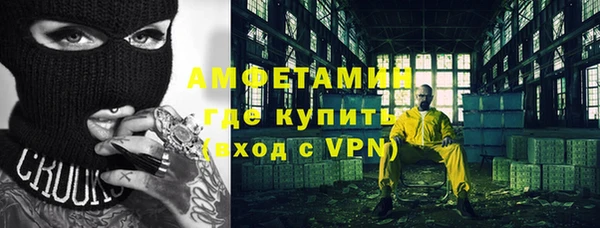 индика Волосово