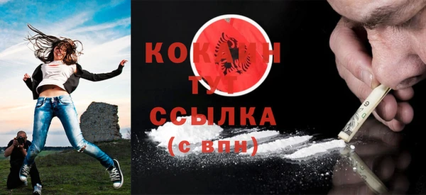 индика Волосово